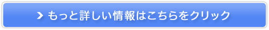 �������C�� ��j�L�r�̔��T�C�g��